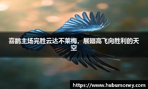 喜鹊主场完胜云达不莱梅，展翅高飞向胜利的天空