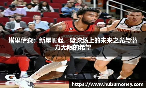 球速体育官网